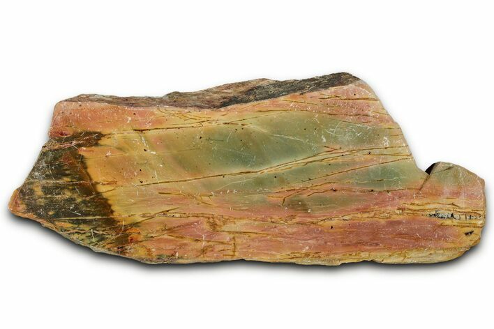 Polished Cherry Creek Jasper - China #326033